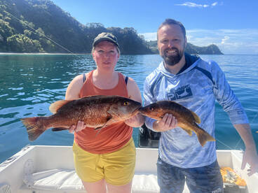 4 hours fishing inshore and live baits 