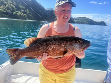 Herradura Report Photo 1