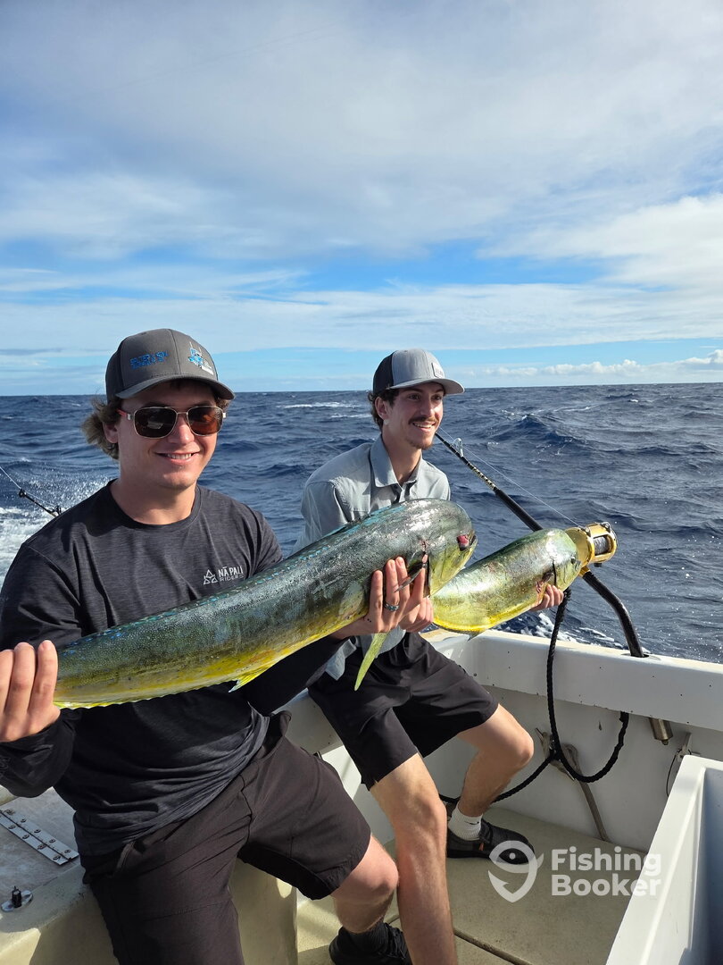 Haleiwa Report Photo 0