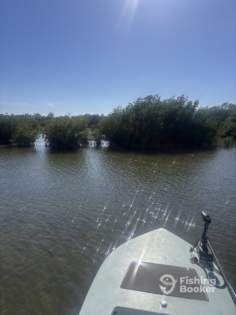 Key Largo Report Photo 0