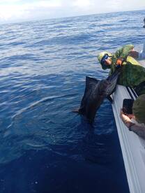 Herradura Report Photo 1