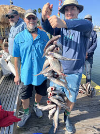 St. Pete Beach Report Photo 2