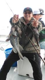 Big winter time Sea Bass