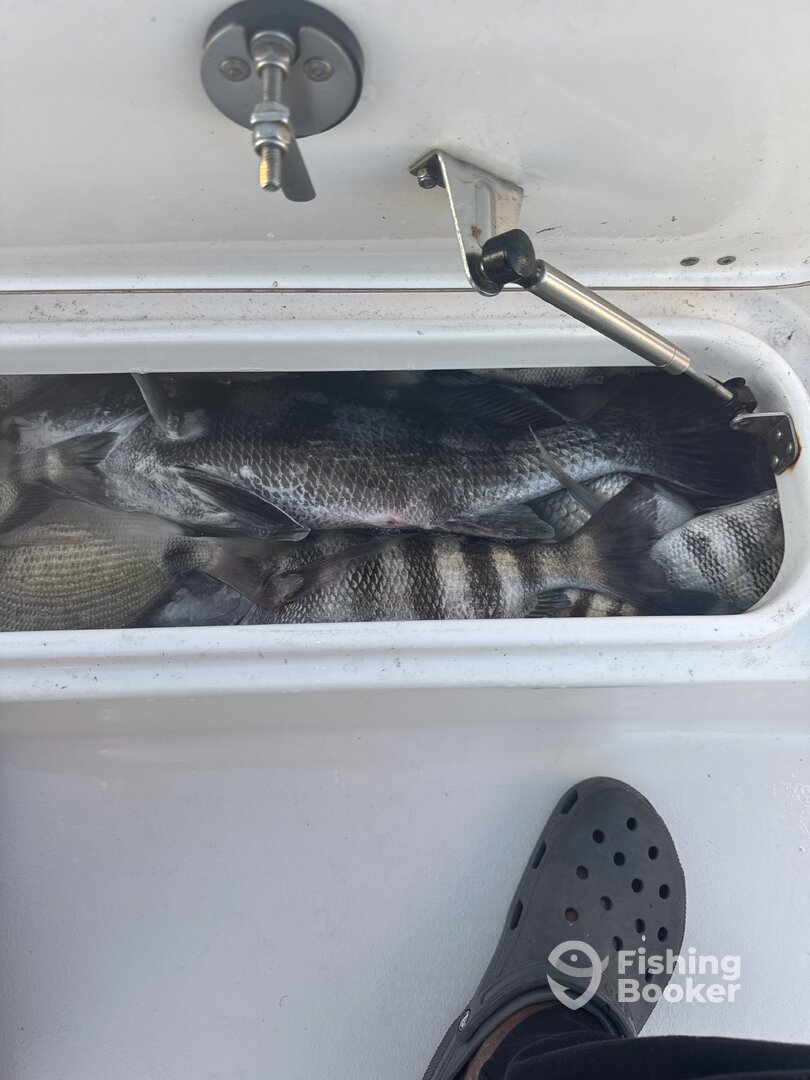 Port Orange Report Photo 0