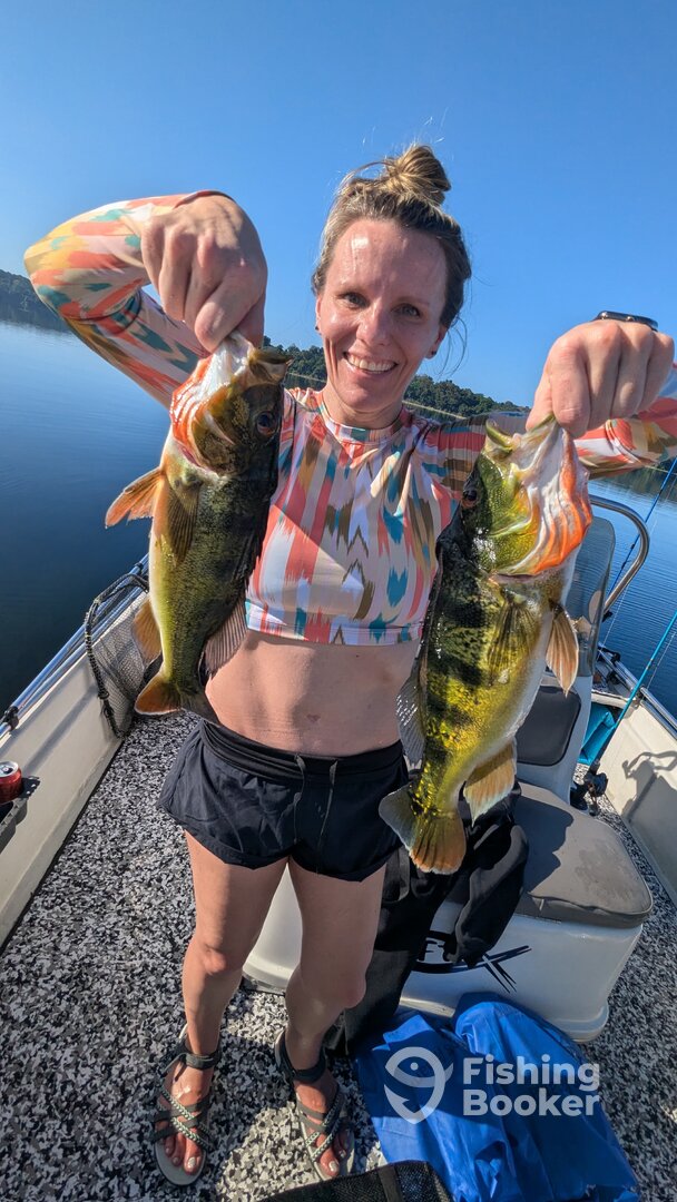 Gamboa Report Photo 0