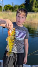 Gamboa Report Photo 1