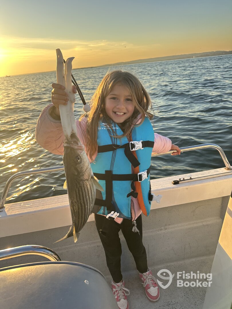 New York City Report Photo 0