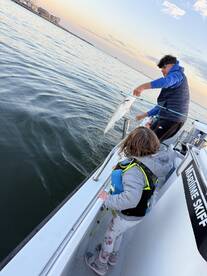 New York City Report Photo 1