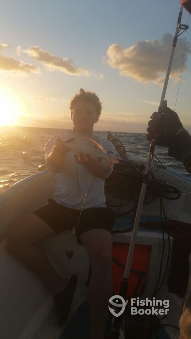 Playa Del Carmen Report Photo 0