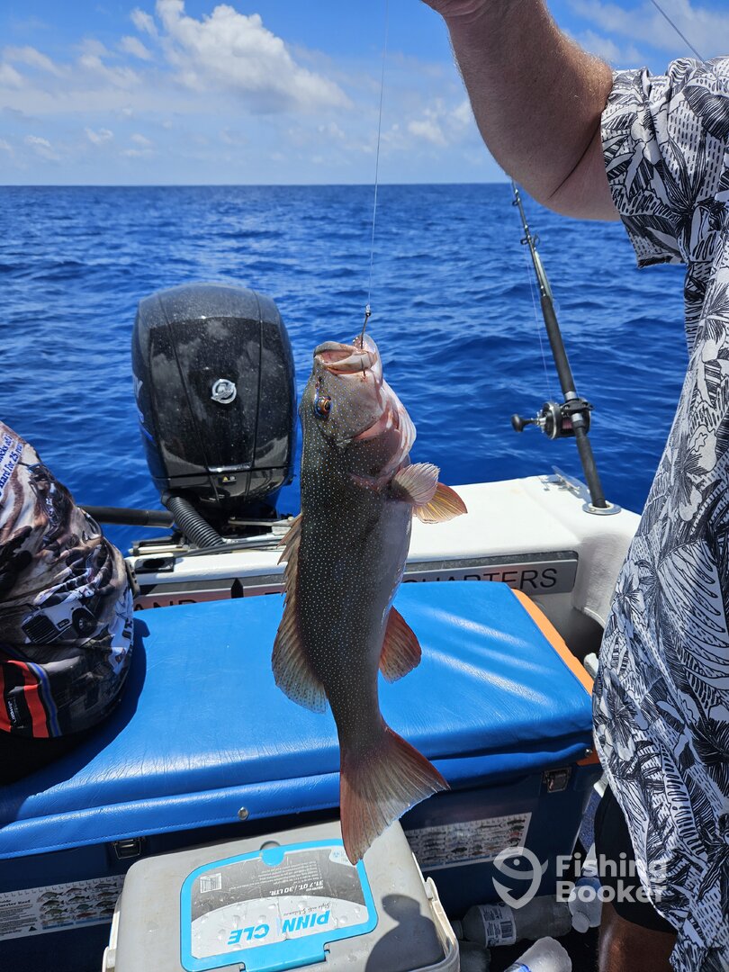 Horseshoe Bay Report Photo 0