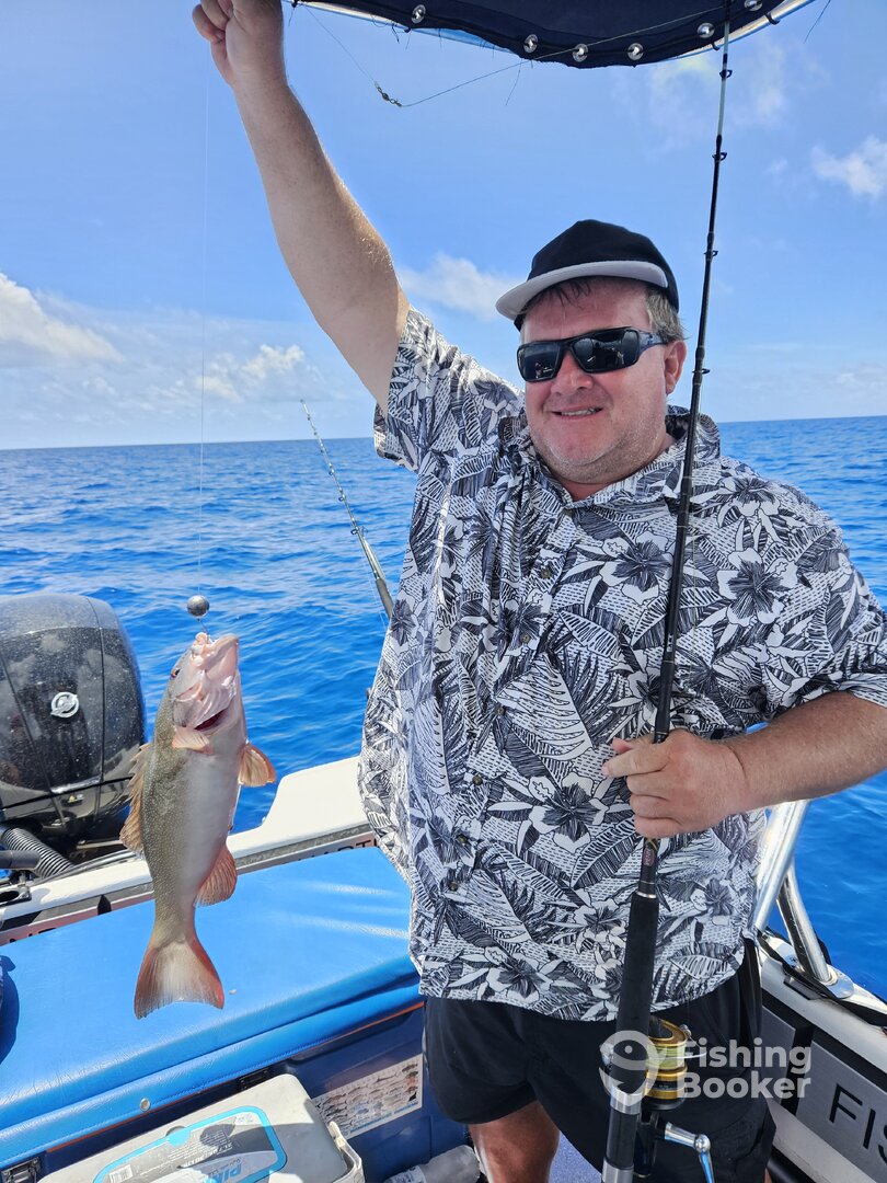 North Queensland Report Photo 0