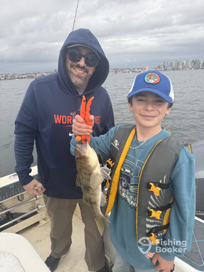 Harbor Island Park Report Photo 0