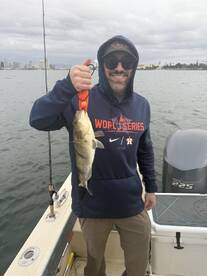 Harbor Island Park Report Photo 2