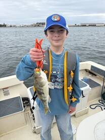 Harbor Island Park Report Photo 1