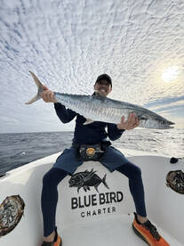 Hurghada Report Photo 1