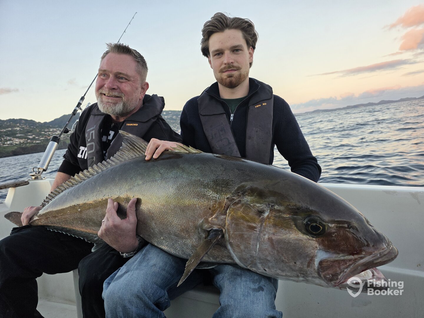 Funchal Report Photo 0