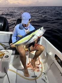 Mauritius Report Photo 1