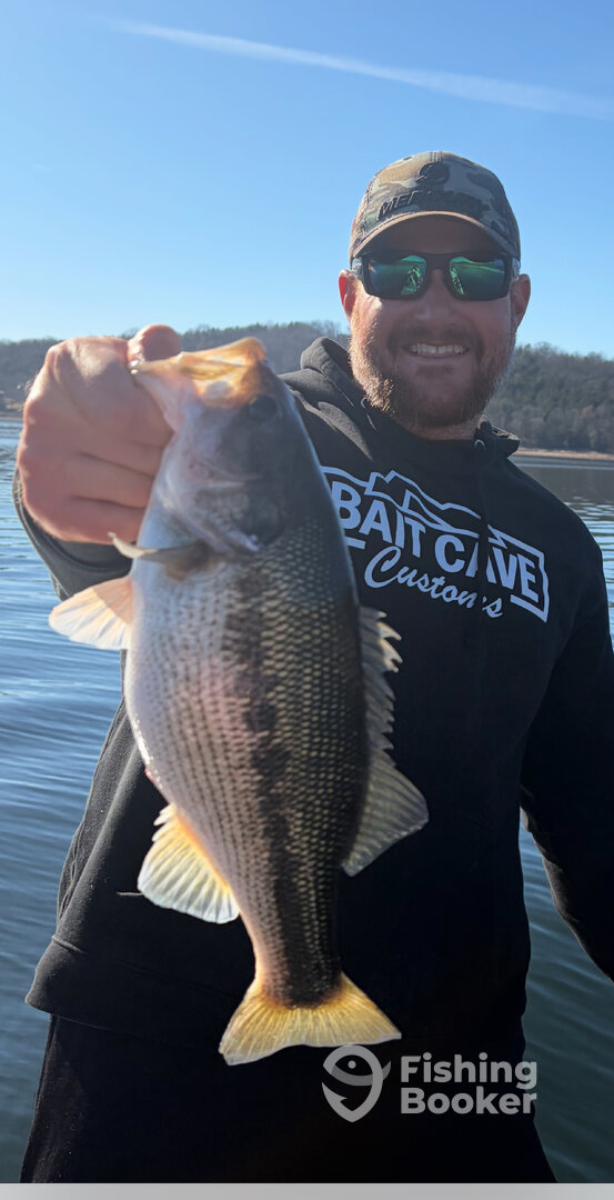 Branson Report Photo 0