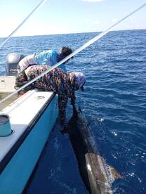 Puntarenas Province Report Photo 2