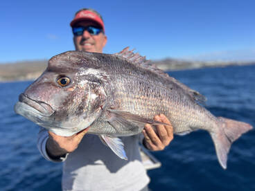 Christmas means BIG MALE SNAPPERS!!