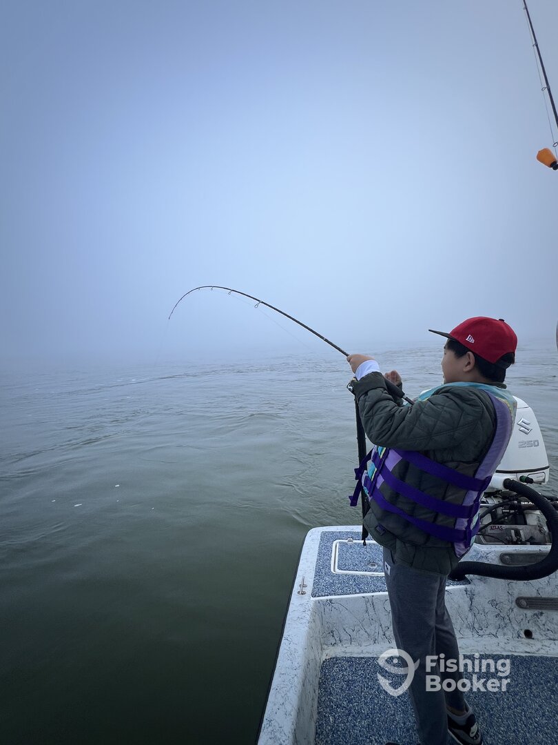 Galveston Island Report Photo 0