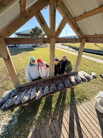 Pelican Island Report Photo 4