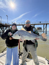 Galveston Island Report Photo 4