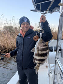 Galveston Island Report Photo 2