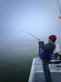 Reds,Black Drum,Sheephead abd Flounder