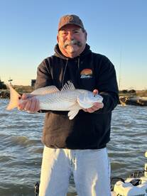 Galveston Report Photo 1