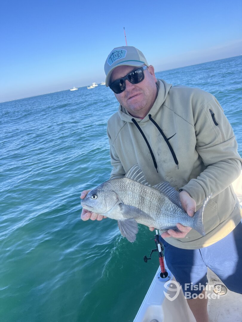 Mount Pleasant Report Photo 0