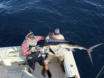 Cabo San Lucas Report Photo 1