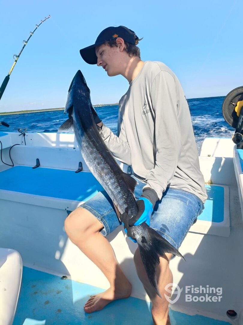 Playa Del Carmen Report Photo 0