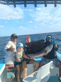 Sailfish Success