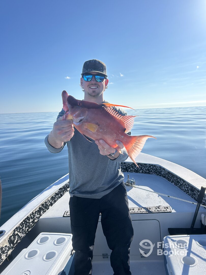 St. Petersburg Report Photo 0