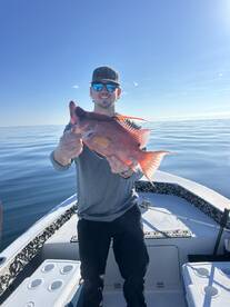 All the fish you want  kept enough for d