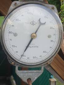 Moorea-Maiao Report Photo 4