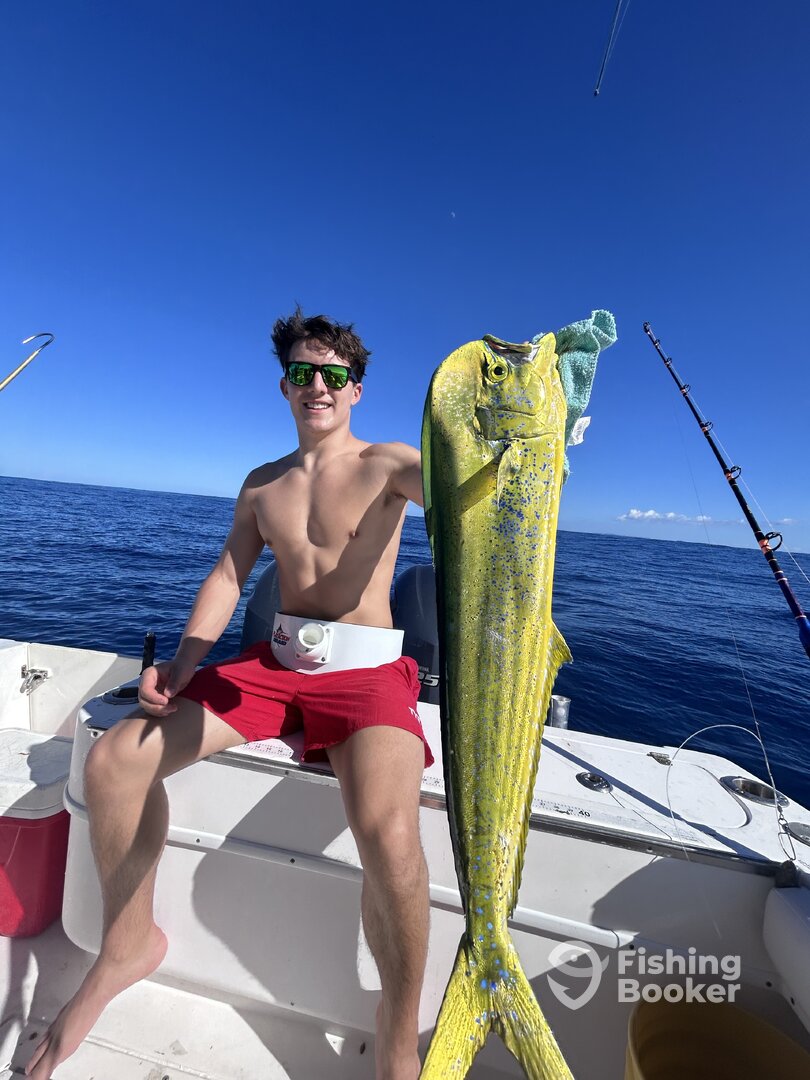 Fajardo Report Photo 0