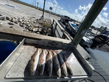 Saturday morning action 