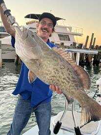 Monster Grouper in Shallow Water