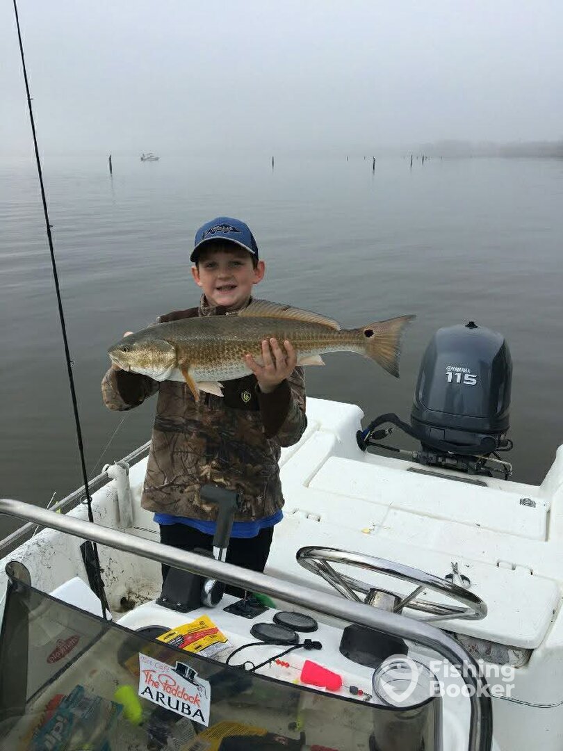 Houston Report Photo 0