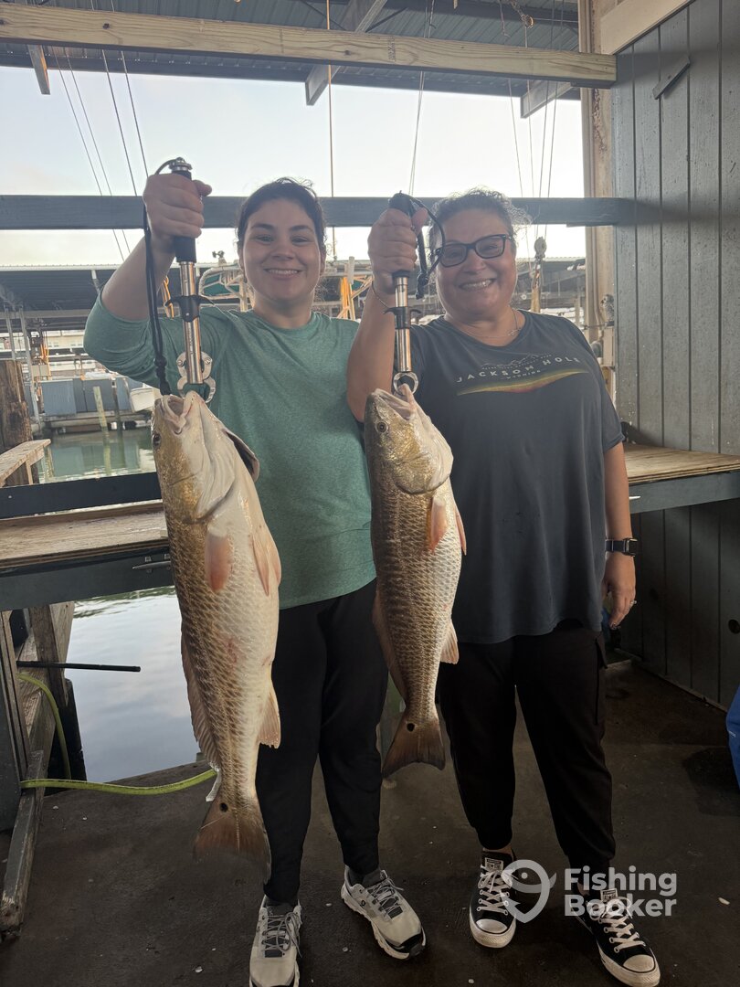 Pelican Island Report Photo 0