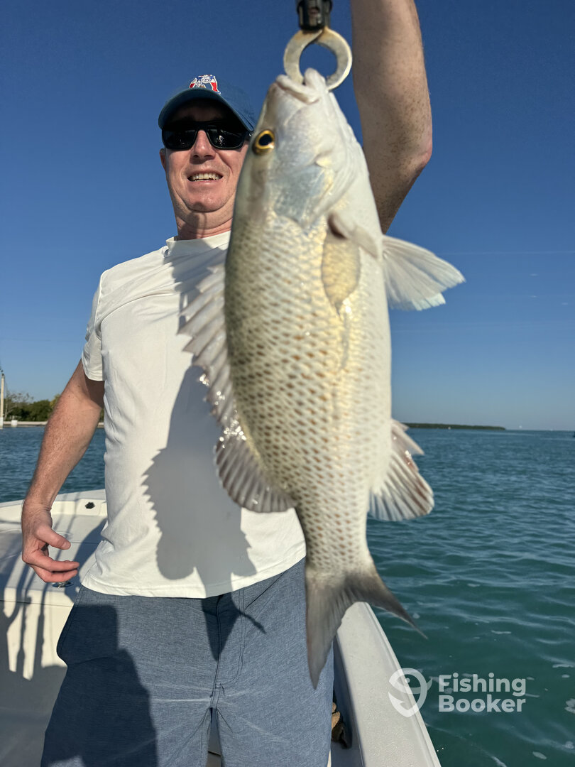 Islamorada Report Photo 0