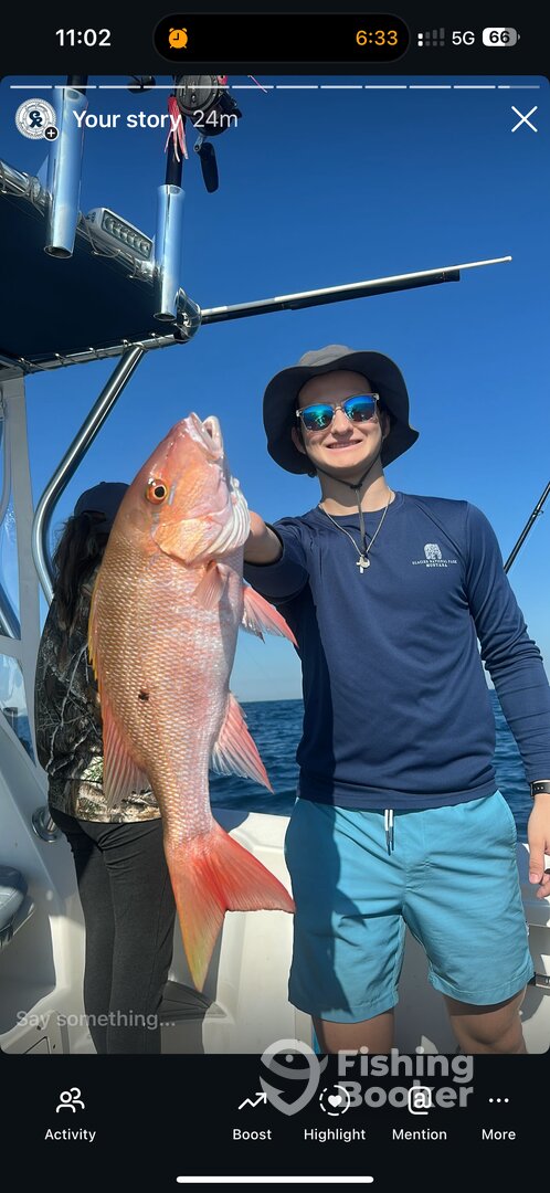 Homestead Report Photo 0