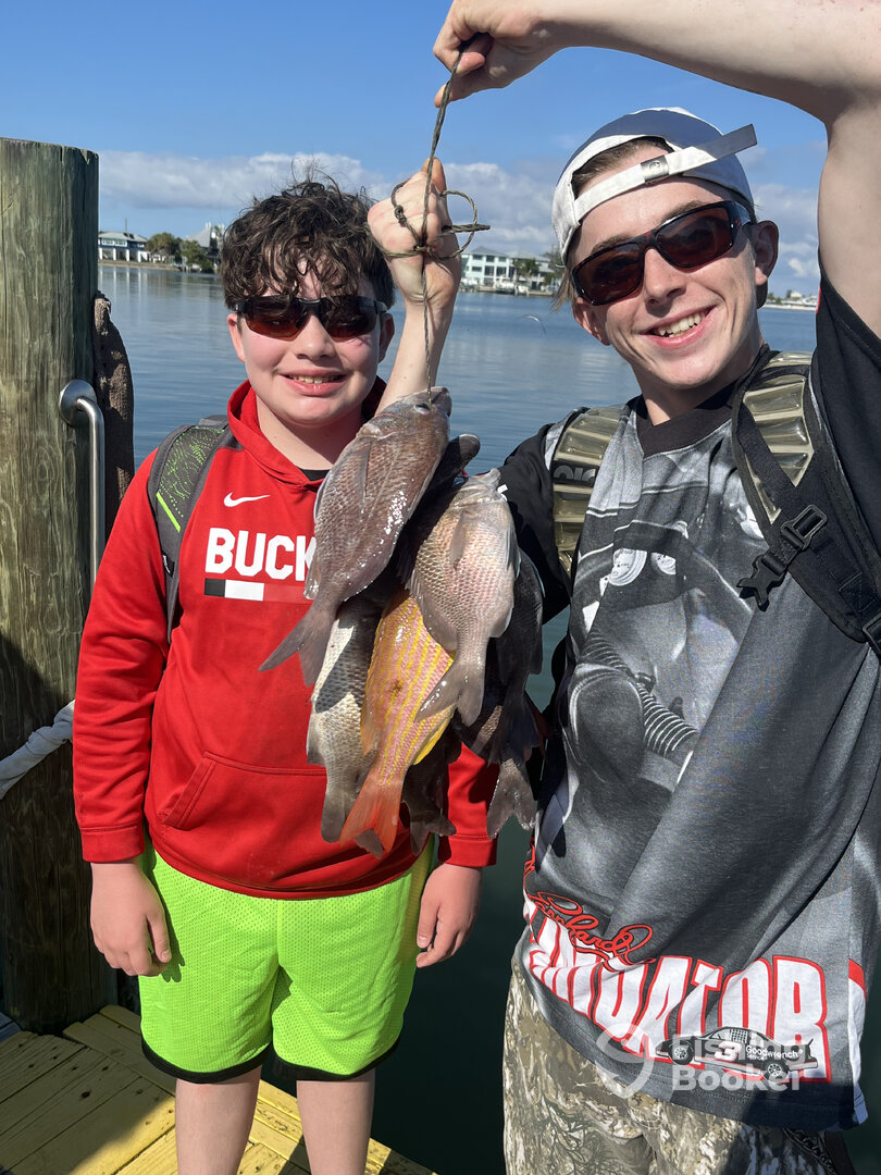 Pinellas County Report Photo 0