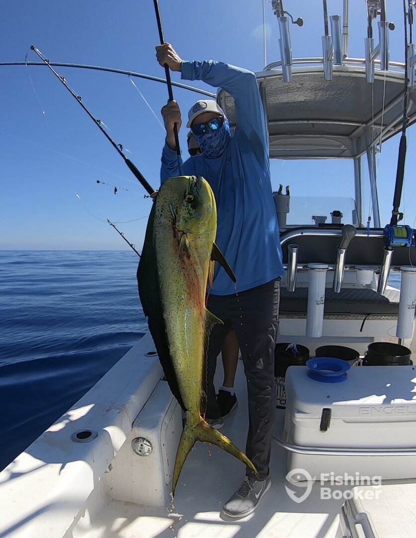 San Juan Report Photo 0