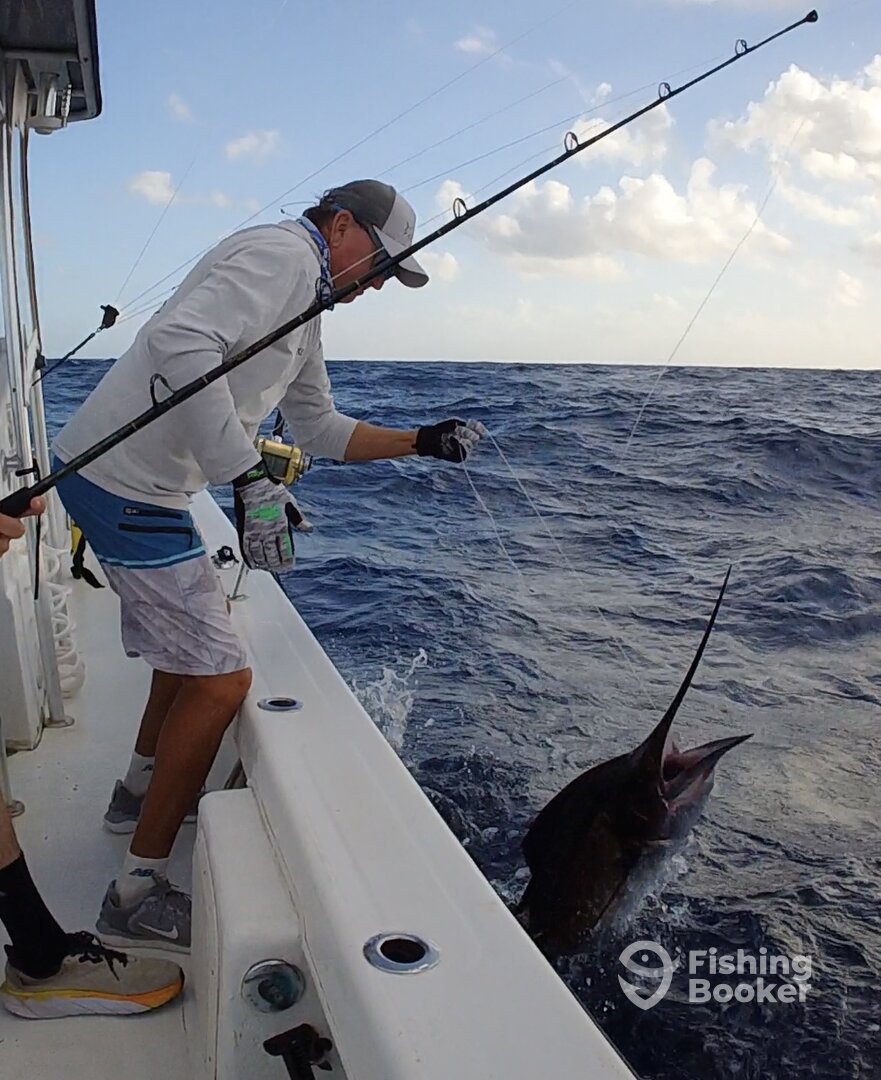 San Juan Report Photo 0