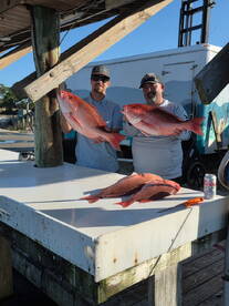 Gulf Shores Report Photo 2