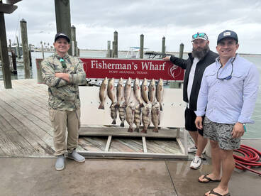Black drum and redfish action! 