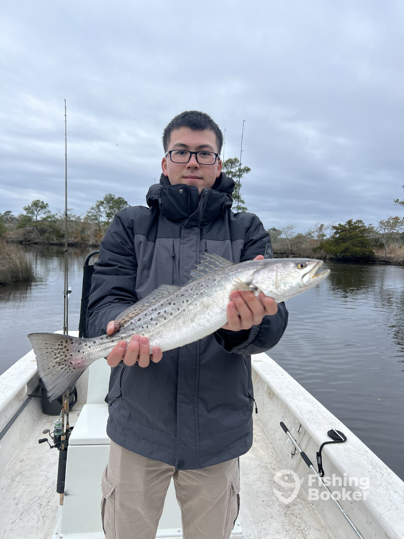 North Topsail Beach Report Photo 0